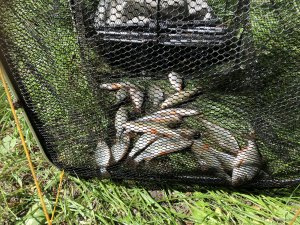 IMG_1025.JPG