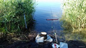 20180528_091054.jpg