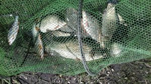 20180528_155259.jpg