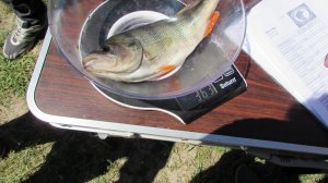 IMG_1842.JPG