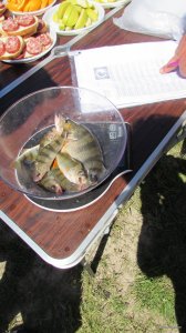 IMG_1855.JPG
