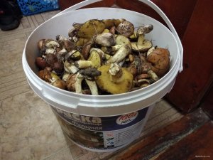 IMG_20180528_194243.jpg
