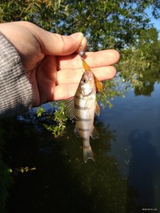 IMG_20180529_071027.jpg