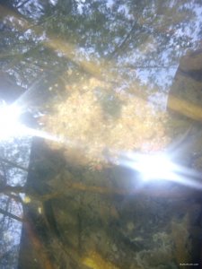 IMG_20180516_123644.jpg