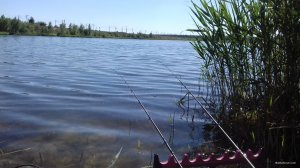 20180530_154236.jpg