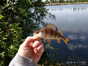 IMG_20180601_110411.jpg