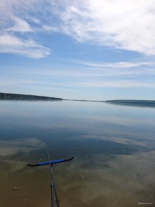 DSC_0225.JPG