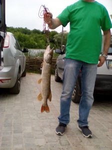 IMG_20180603_133536.jpg