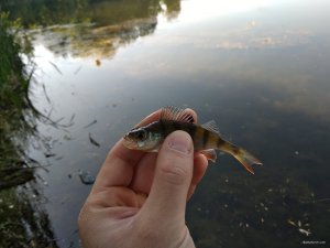 IMG_20180604_074457.jpg