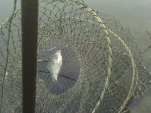 IMG_20120826_162848[1].jpg
