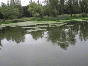 IMG_2809.JPG