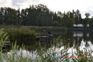 DSC_0208.jpg