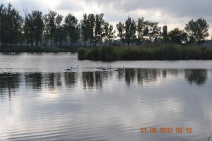 DSC_0212.jpg