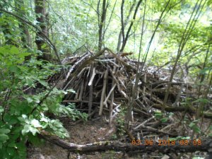 DSCN1142.JPG