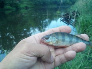 IMG_20180606_050815_417[1].jpg