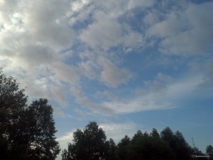 IMG_20180606_053053_821[1].jpg