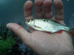 IMG_20180606_064508_366[1].jpg