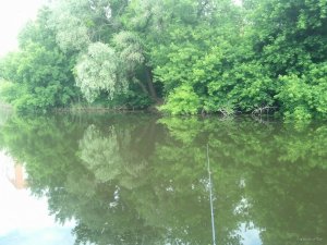 IMG_20180606_093828_787[1].jpg