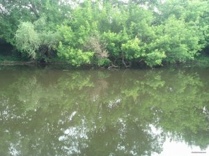 IMG_20180606_093838_412[1].jpg
