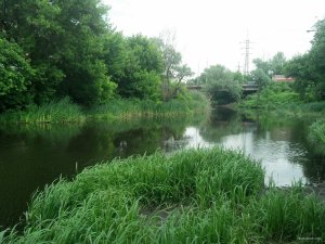 IMG_20180606_140548_527[1].jpg