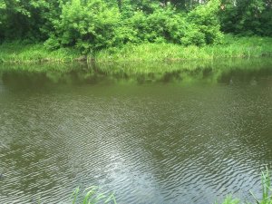IMG_20180606_140557_583[1].jpg