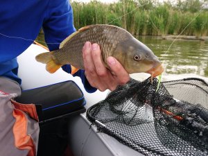 IMG_0168.JPG