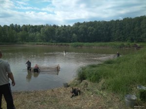 IMG_20180609_083246.jpg
