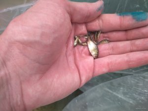 IMG_20180609_113212.jpg