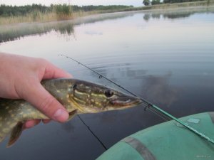 IMG_7366.JPG