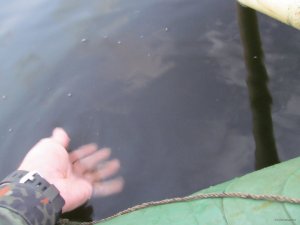 IMG_7376.JPG