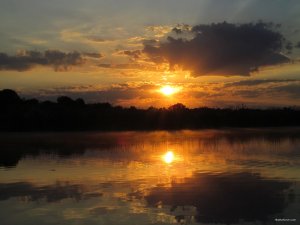 IMG_7379.JPG