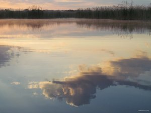 IMG_7381.JPG