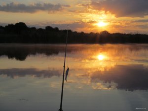 IMG_7382.JPG