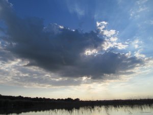 IMG_7397.JPG