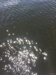 0FFA002C-B0BA-47FB-946B-6C24C923387C.jpeg