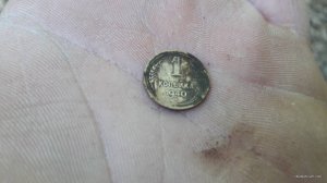 16553.jpg