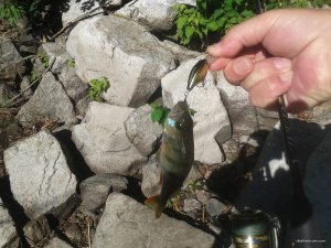 20180610_082120.jpg