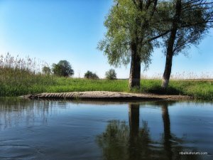 IMG_3426.JPG