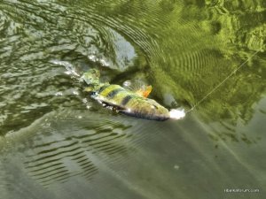 IMG_3454.JPG
