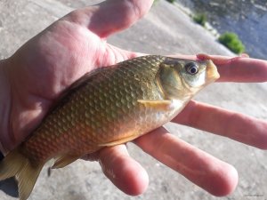 20180612_070830.jpg