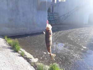20180612_065259.jpg