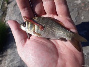 20180612_070358.jpg