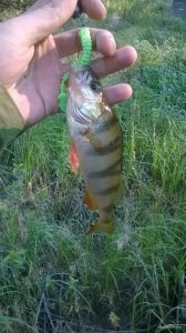 WP_20180527_06_36_25_Pro.jpg