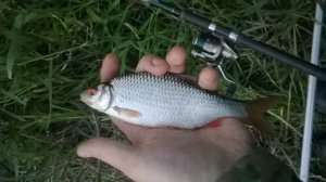 WP_20180610_20_56_34_Pro.jpg