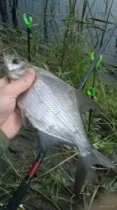 WP_20180610_20_57_55_Pro.jpg