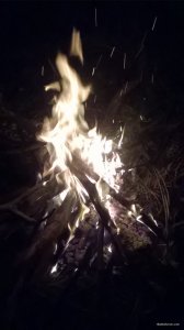WP_20180610_22_13_54_Pro.jpg