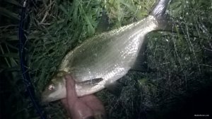 WP_20180611_00_45_31_Pro.jpg
