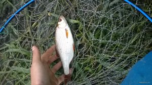 WP_20180611_04_58_41_Pro.jpg