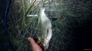 WP_20180611_01_04_26_Pro.jpg