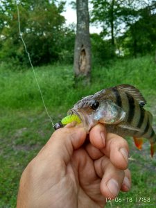 IMG_20180612_175815_HDR.jpg